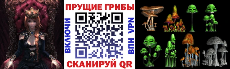 купить   Волжск  Псилоцибиновые грибы мицелий 